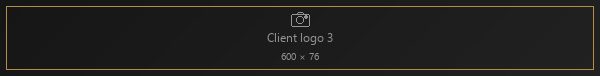 Client logo 3